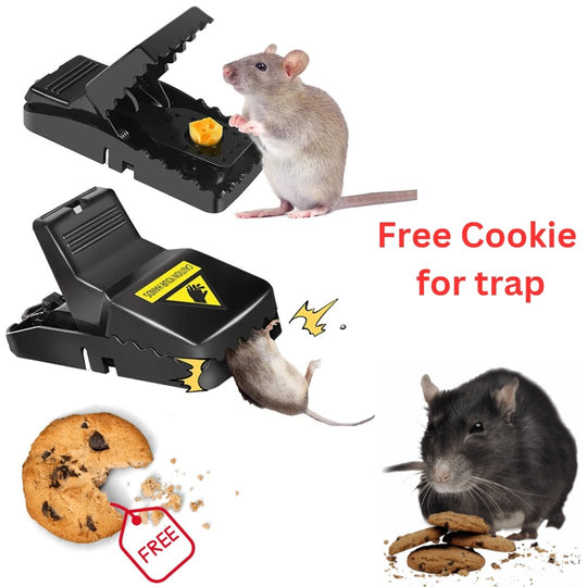 Mouse🐁 Trap ☢Free Delivery🚚Buy 2 Get 1 Free