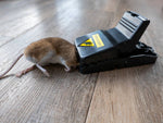 Load image into Gallery viewer, Mouse🐁 Trap ☢Free Delivery🚚Buy 2 Get 1 Free
